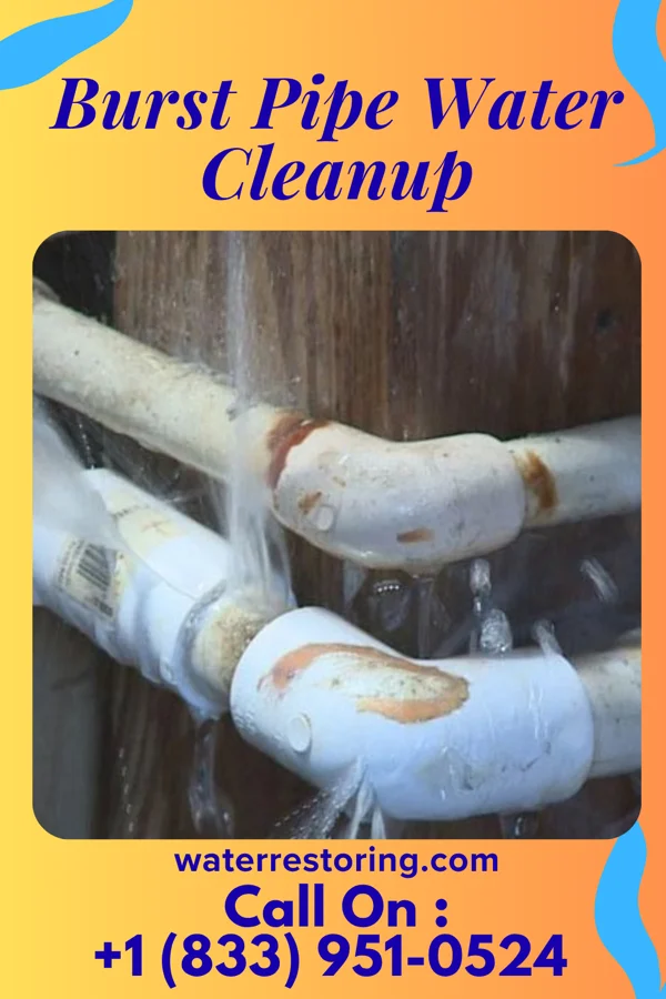 Burst Pipe Water Cleanup in West Nanticoke, PA