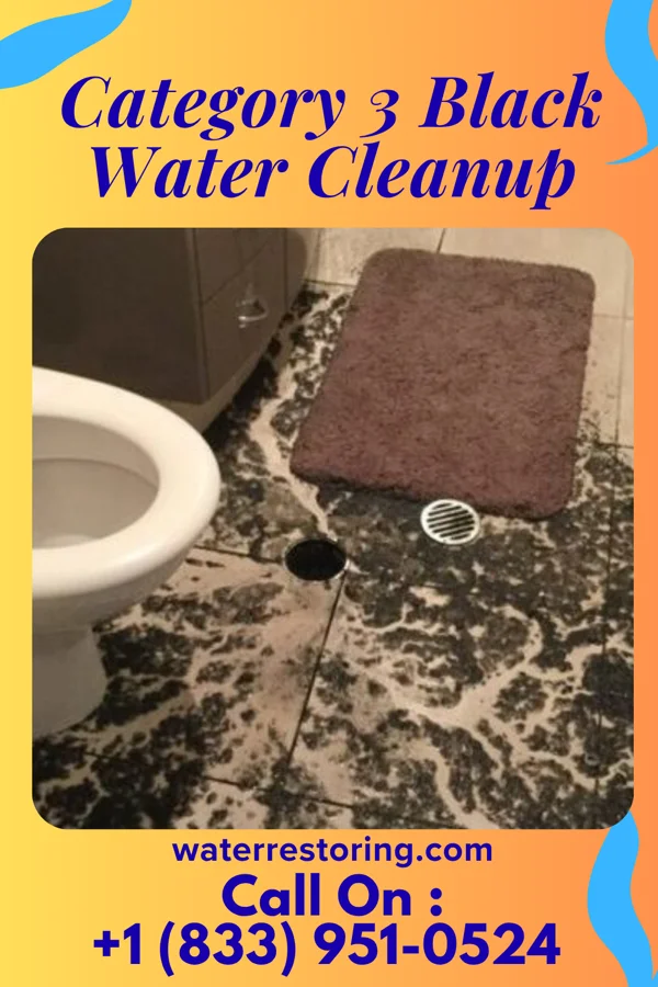 Category 3 Black Water Cleanup in West Nanticoke, PA