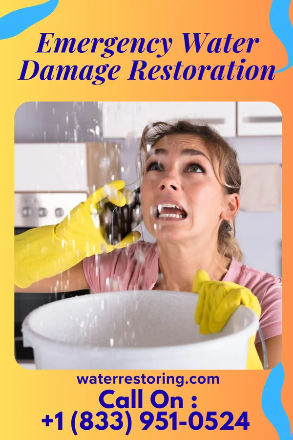 Emergency Water Damage Restoration in West Nanticoke, PA