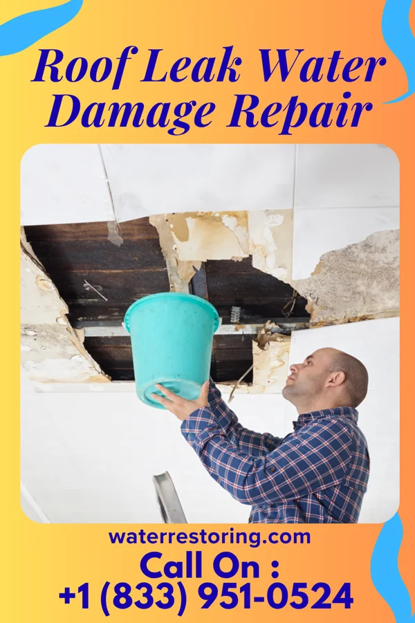 Roof Leak Water Damage Repair in West Nanticoke, PA