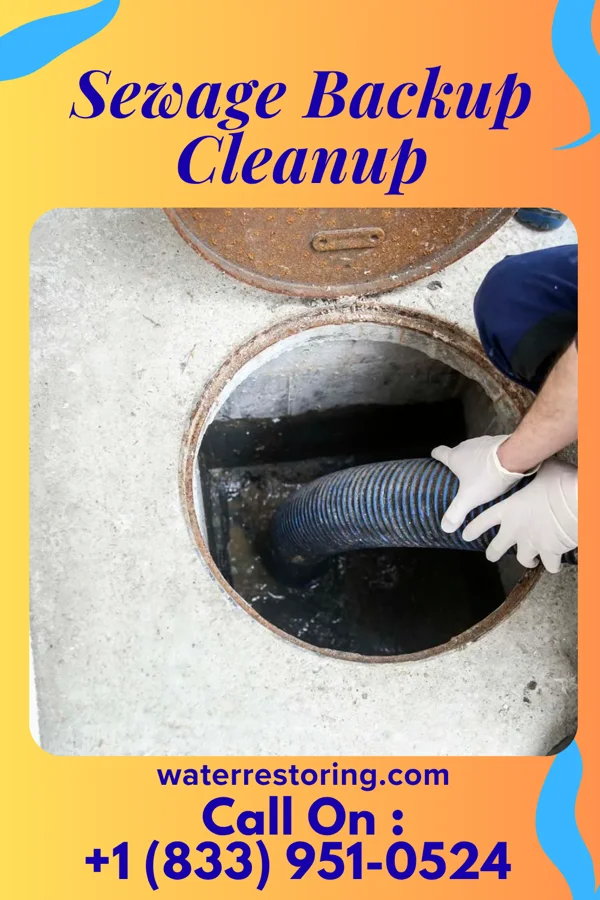 Sewage Backup Cleanup in West Nanticoke, PA