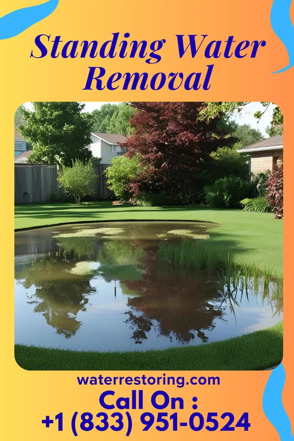 Standing Water Removal in West Nanticoke, PA
